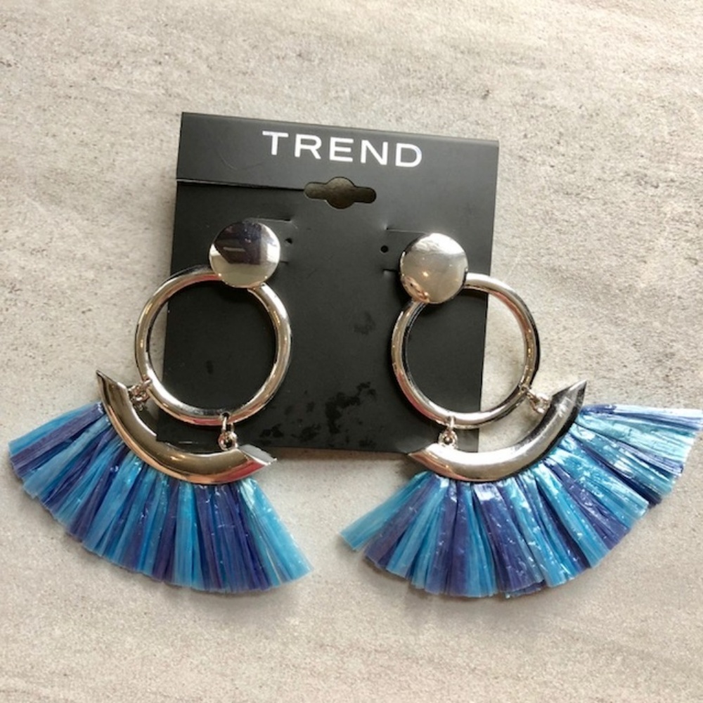 NEW! - Pretty Blue & Silver Fringe Earrings